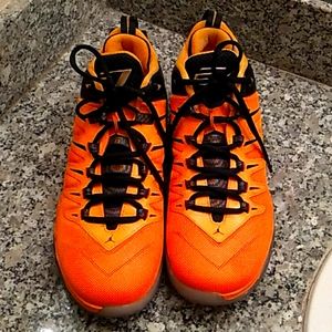 Jordan 2015 Flight Sneakers